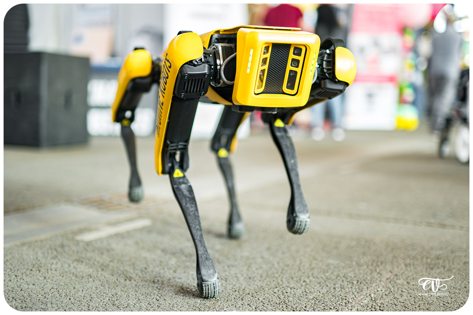 SPOT (BOSTON DYNAMICS)
